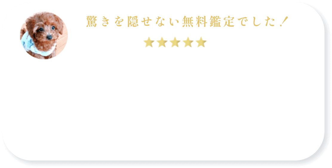 驚きを隠せない無料鑑定でした